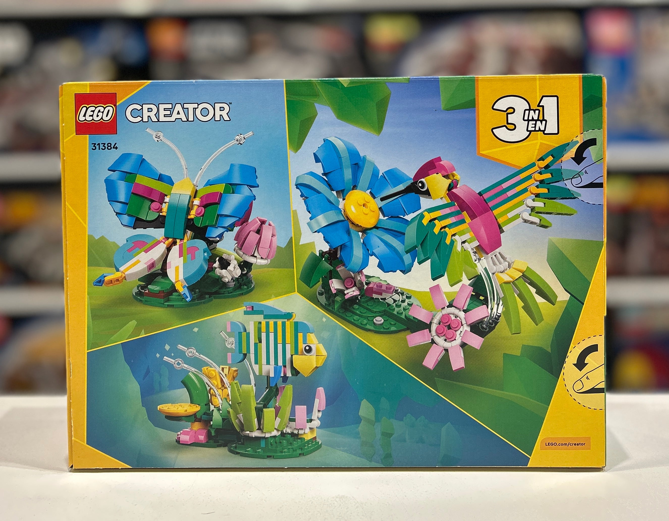 Colorful Hummingbird, 31384
