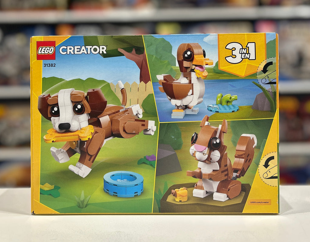 Playful Puppy, 31382