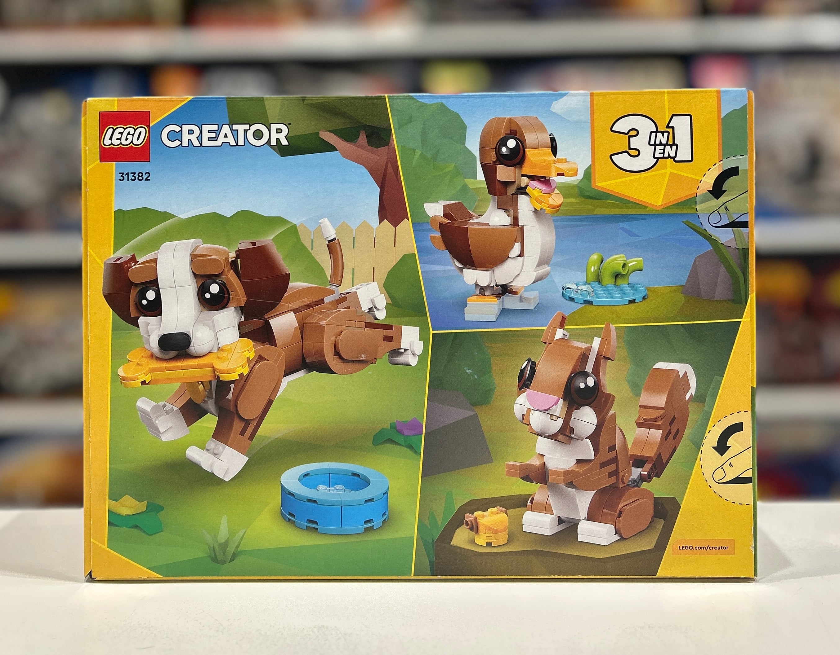 Playful Puppy, 31382