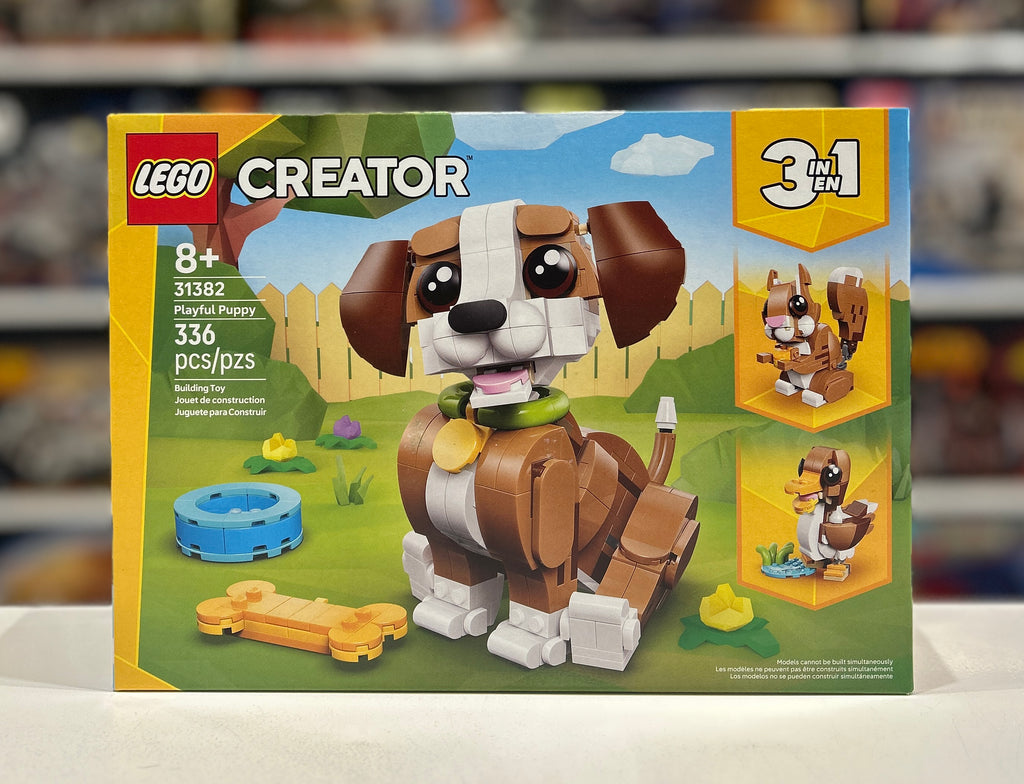 Playful Puppy, 31382