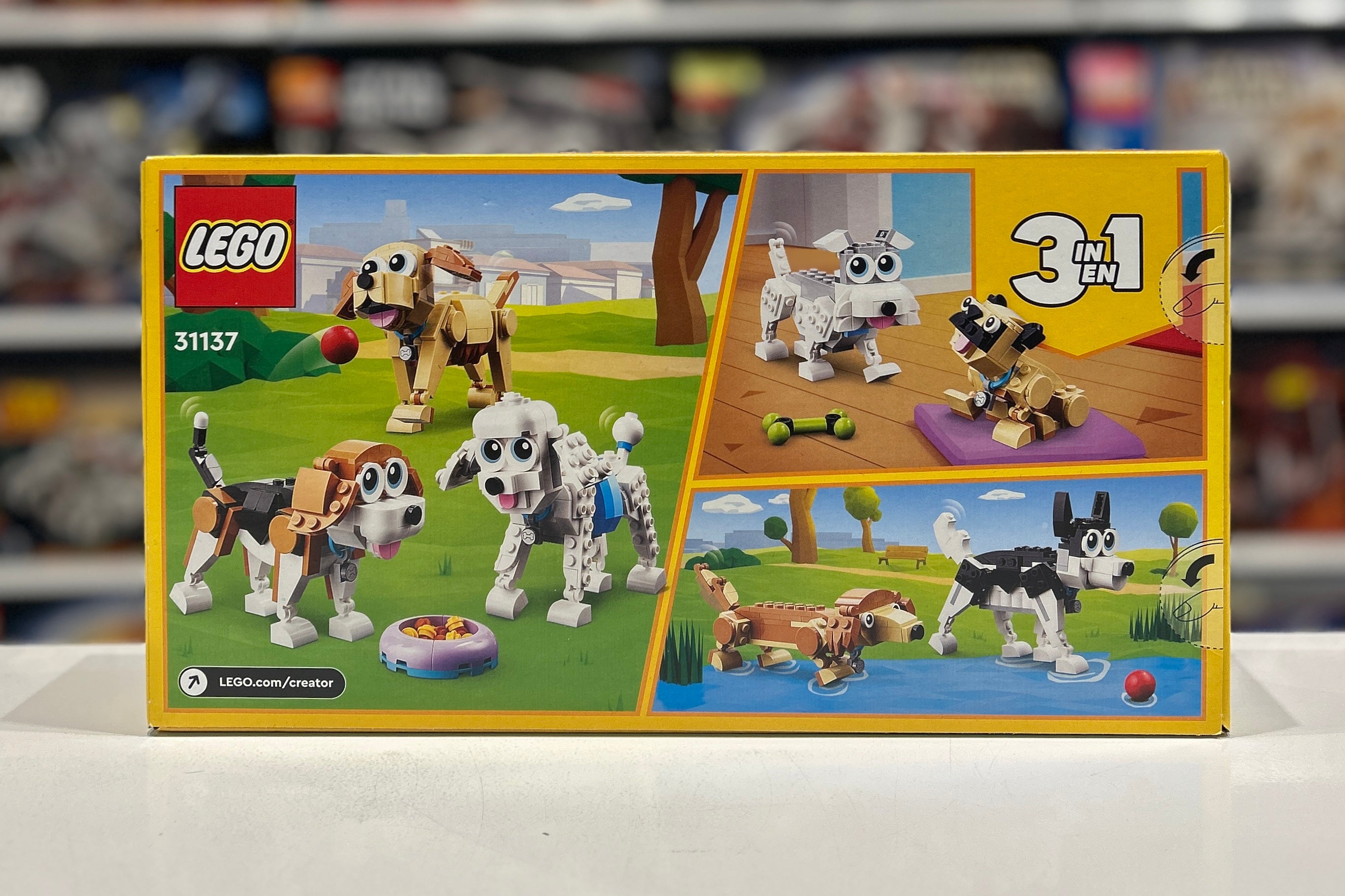 Adorable dogs, 31137