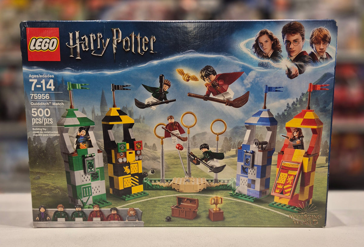Quidditch Match, 75956