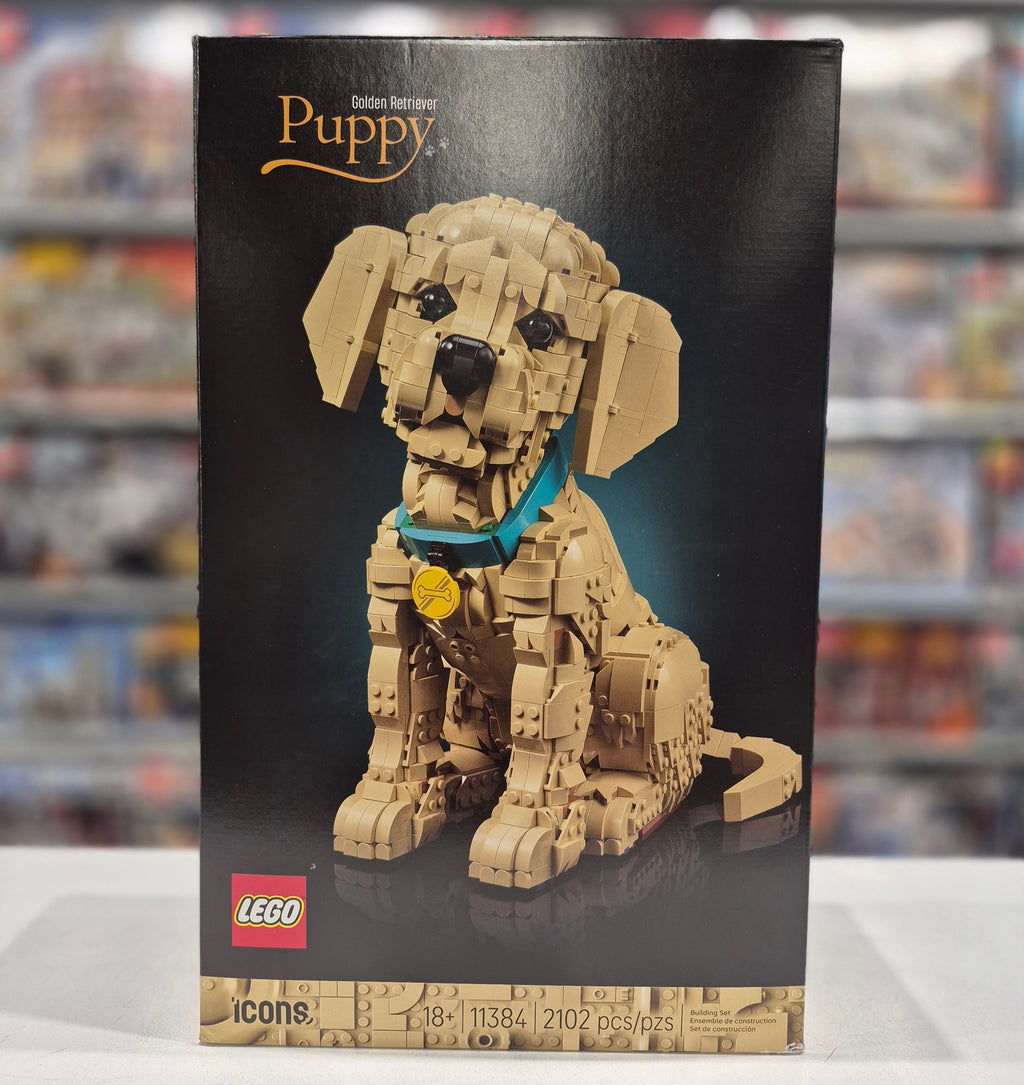 Golden Retriever Puppy, 11384