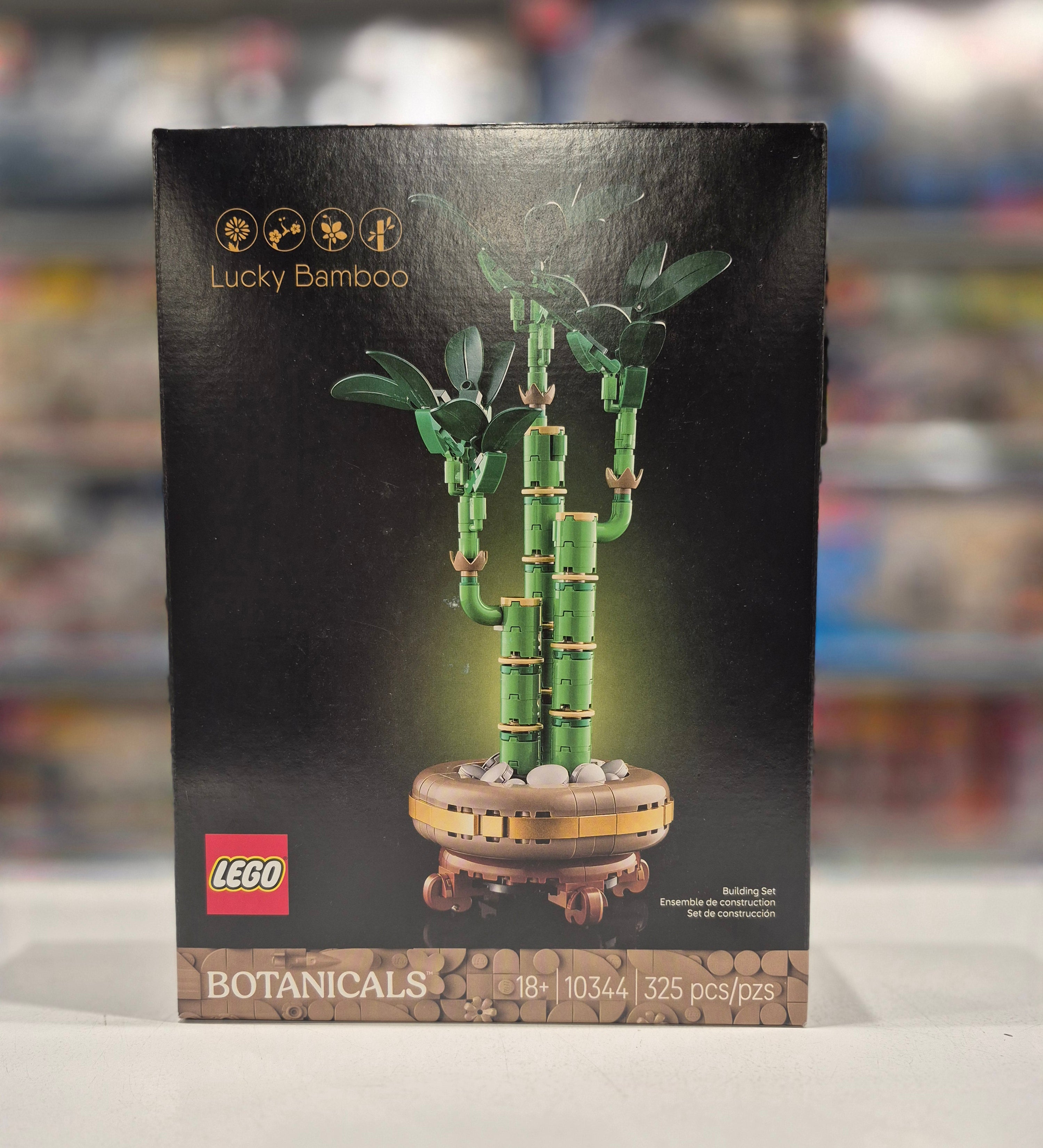 Lucky Bamboo, 10344
