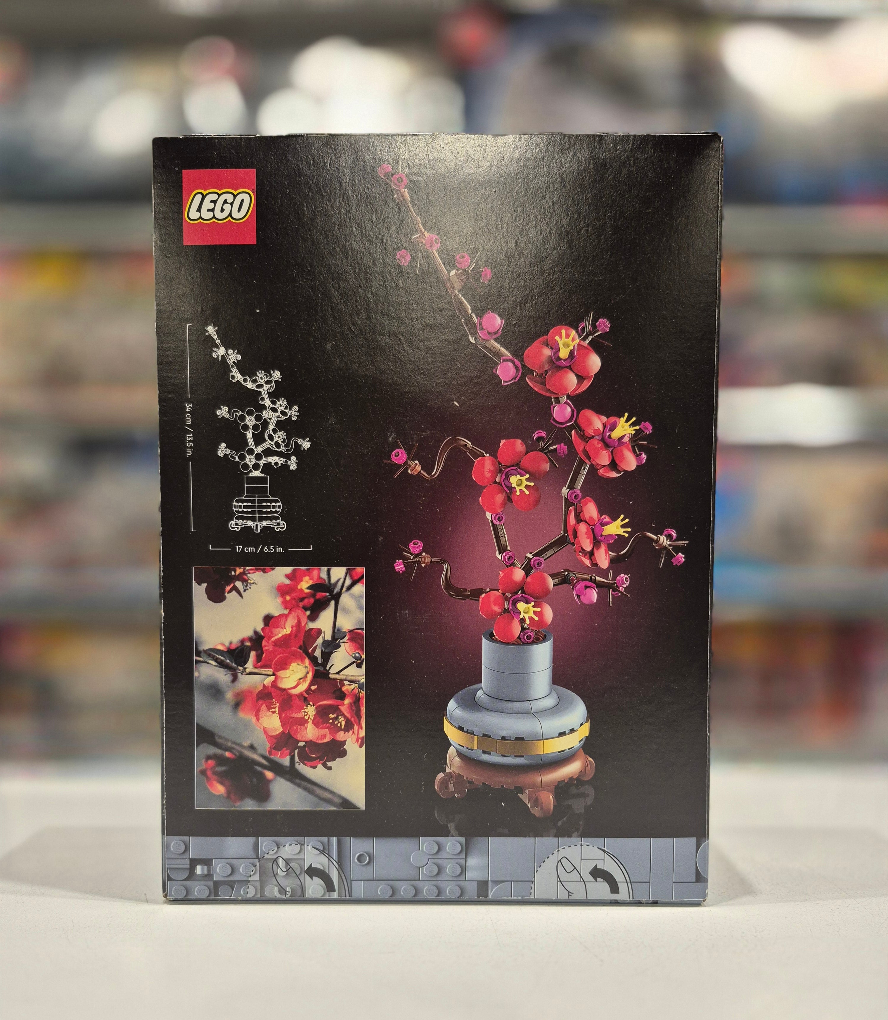 Plum Blossom, 10369