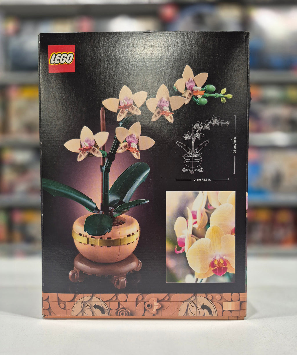 Mini Orchid, 10343