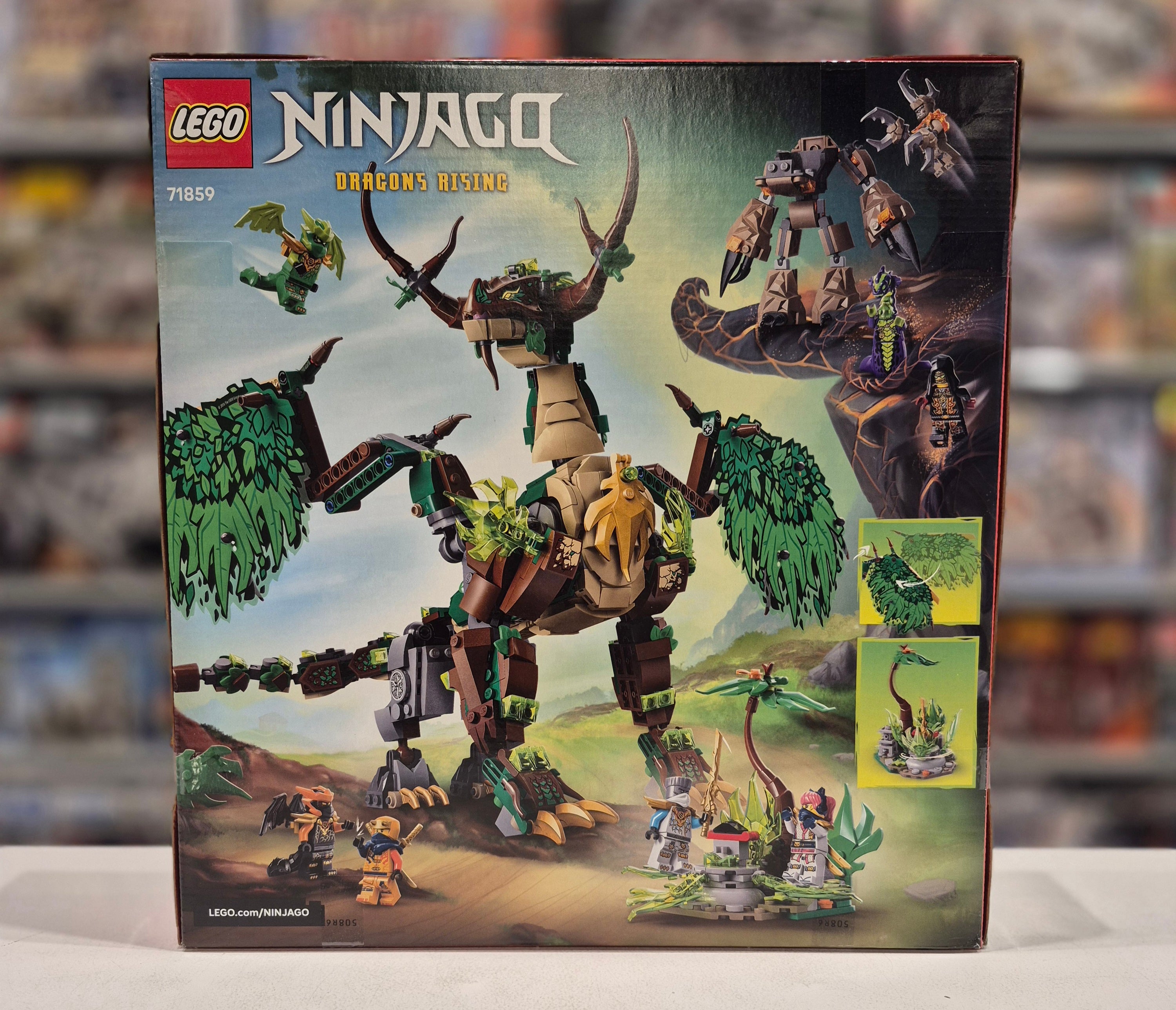 The Dragon of Life, 71859