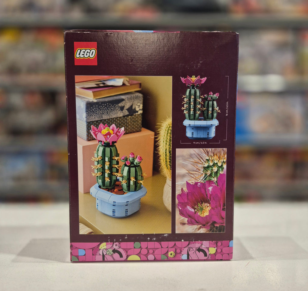 Flowering Cactus, 11509