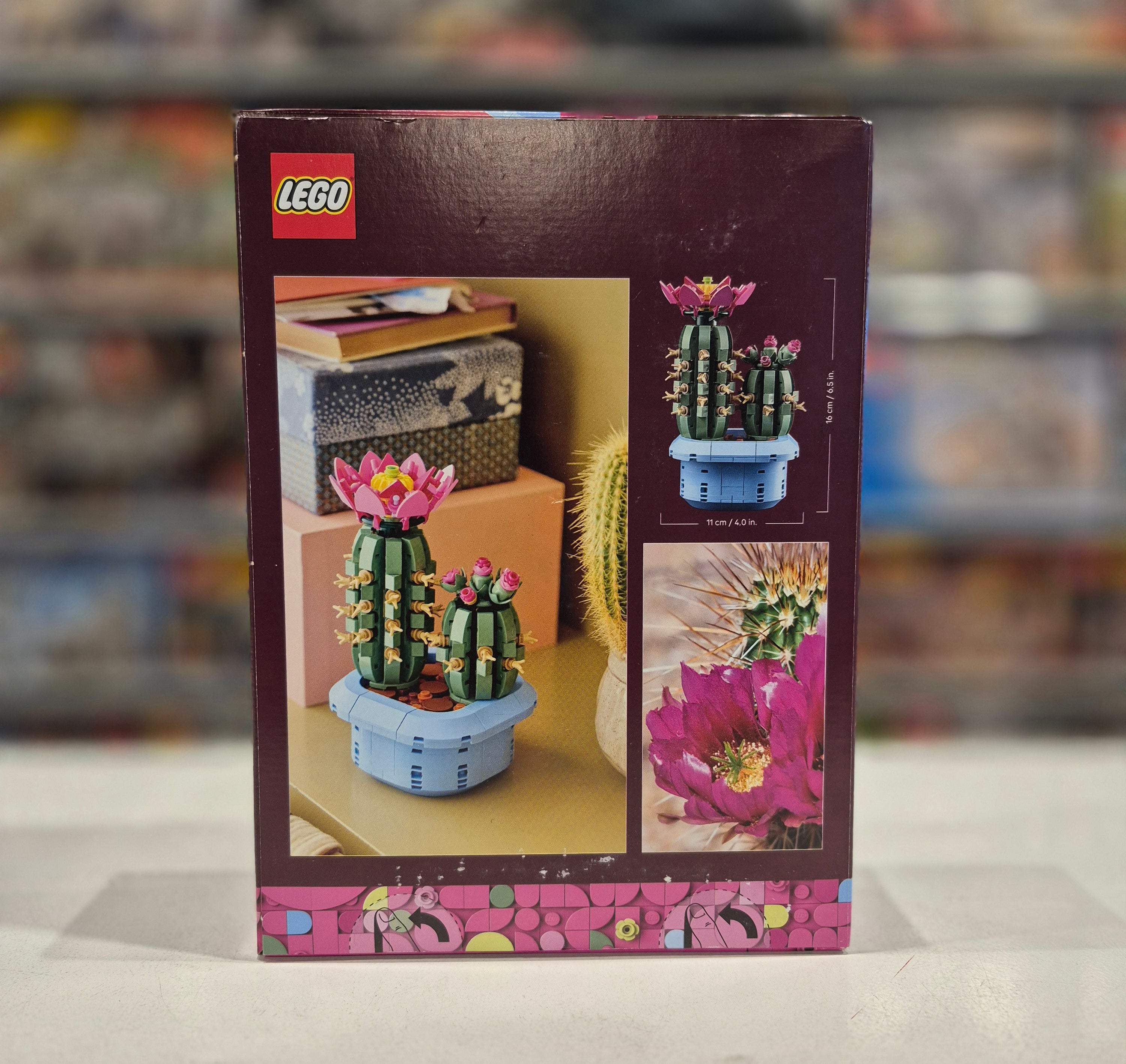 Flowering Cactus, 11509