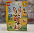 Cute Bunny, 31162