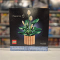 Peace Lily, 11504