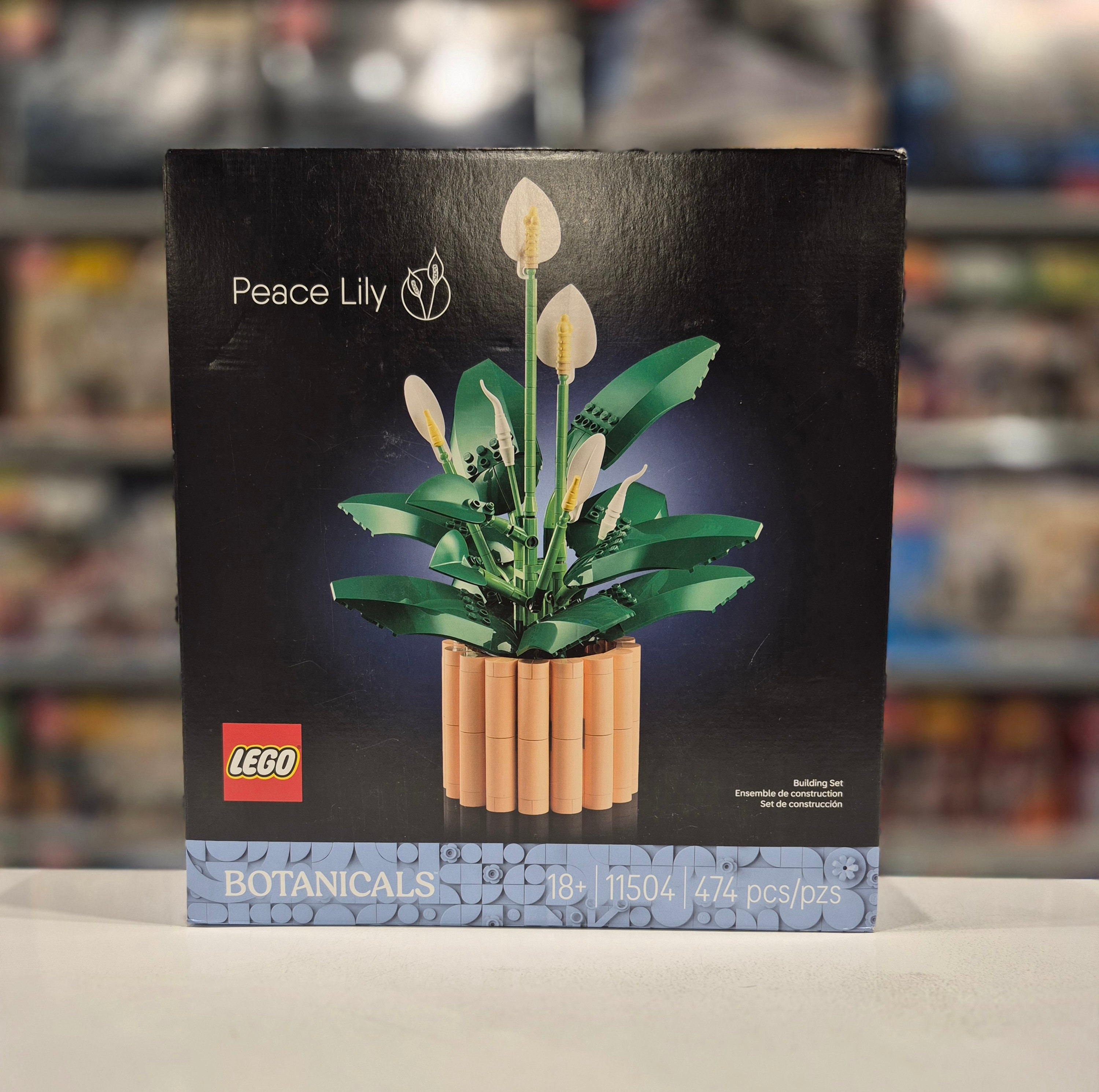 Peace Lily, 11504