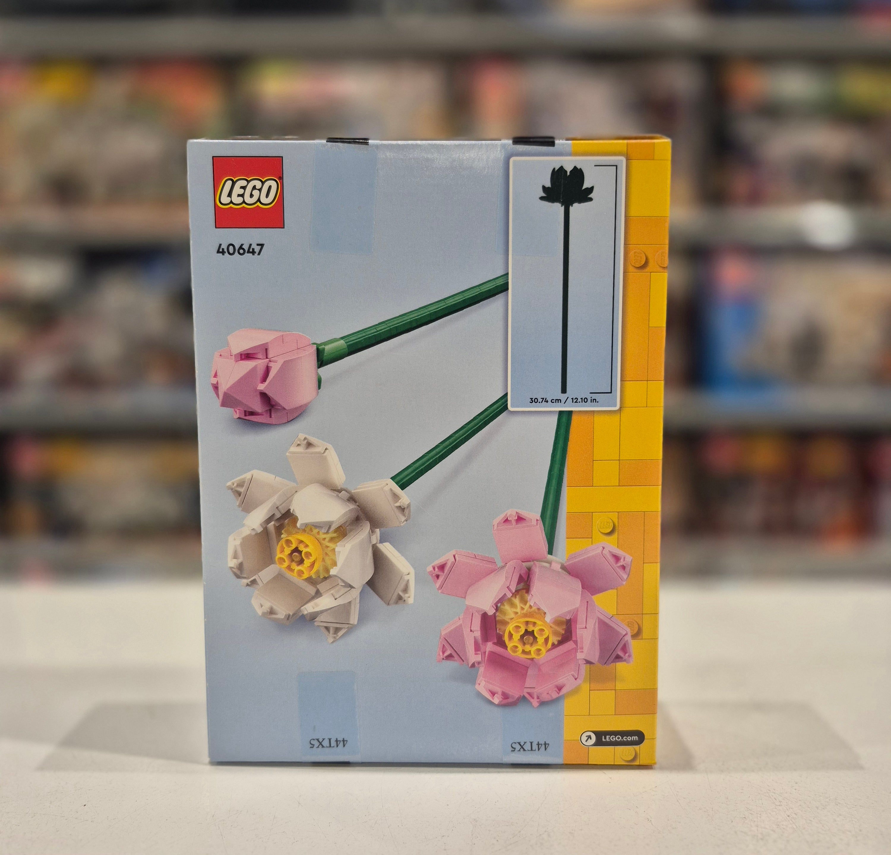 Lotus Flowers, 40647