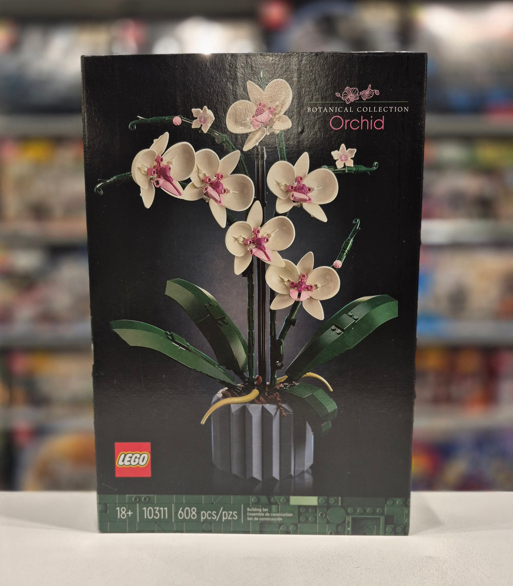 Orchid, 10311