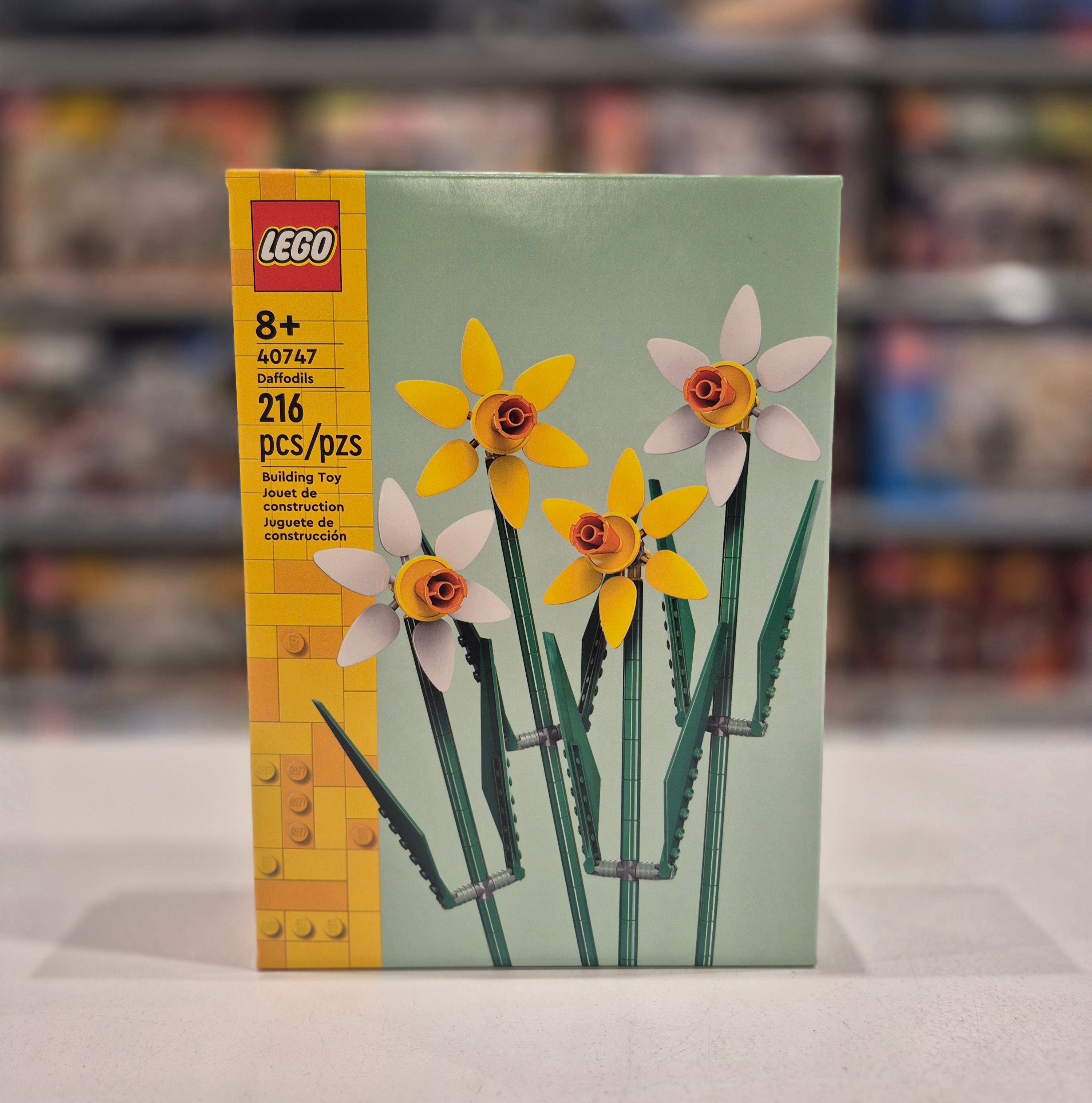 Daffodils, 40747