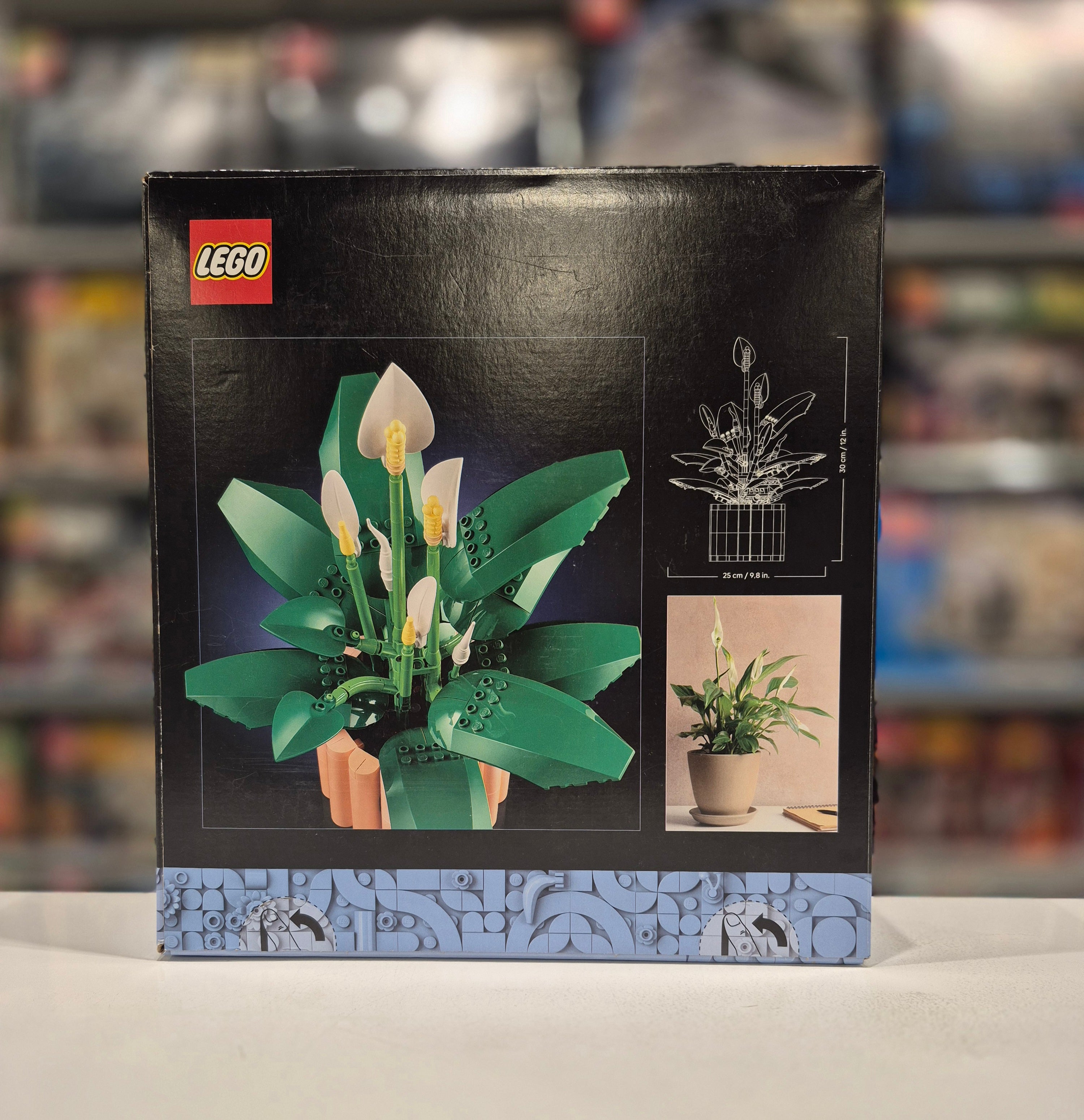 Peace Lily, 11504