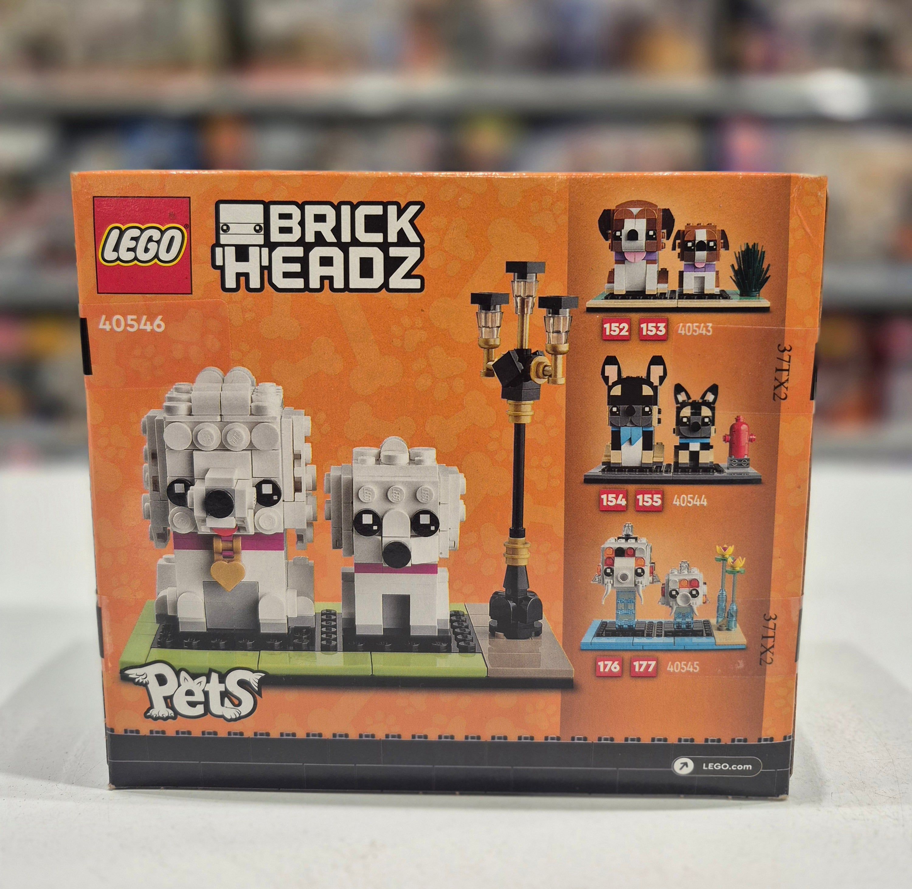 Poodle, 40546