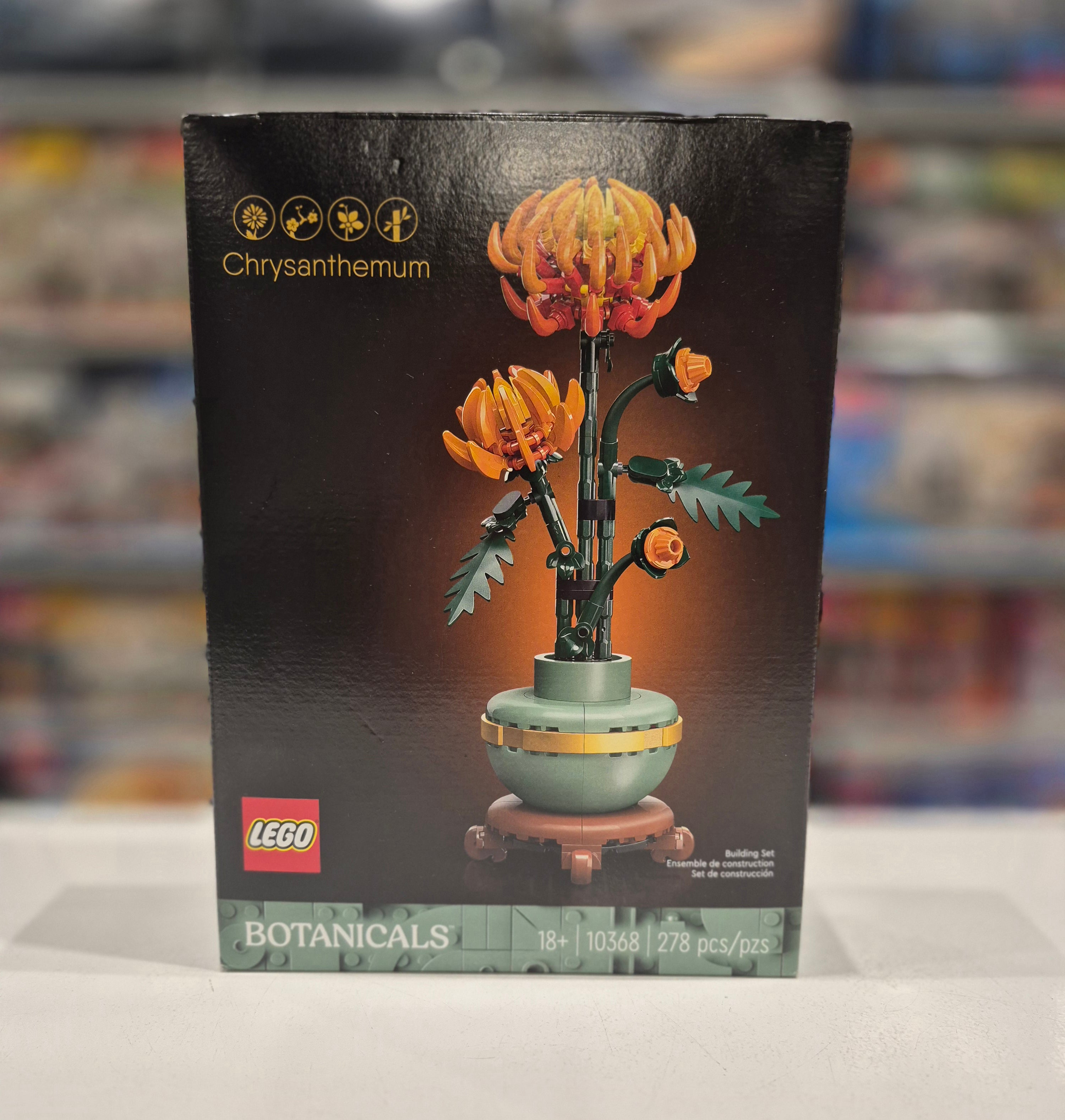 Chrysanthemum, 10368