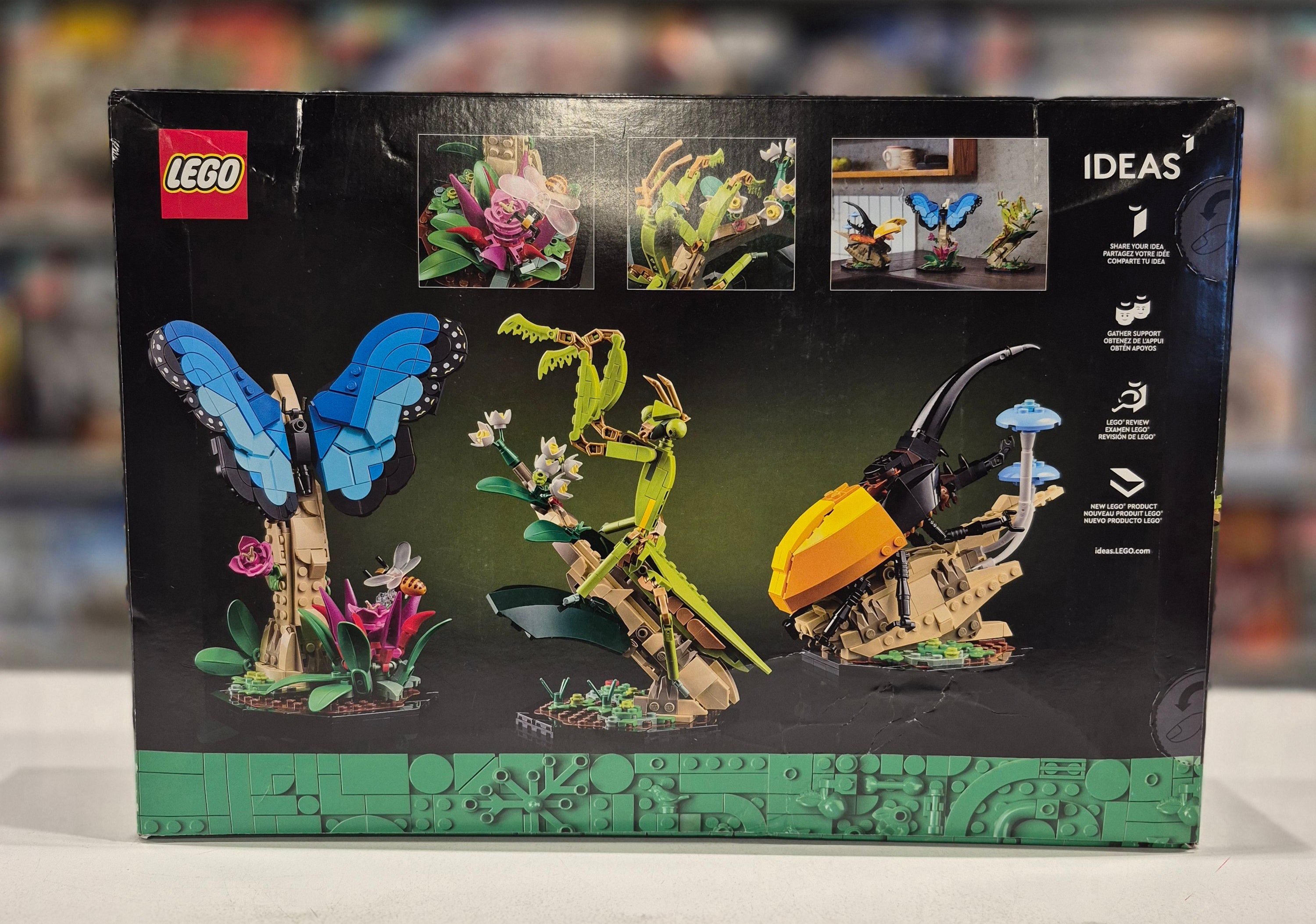 The Insect Collection, 21342