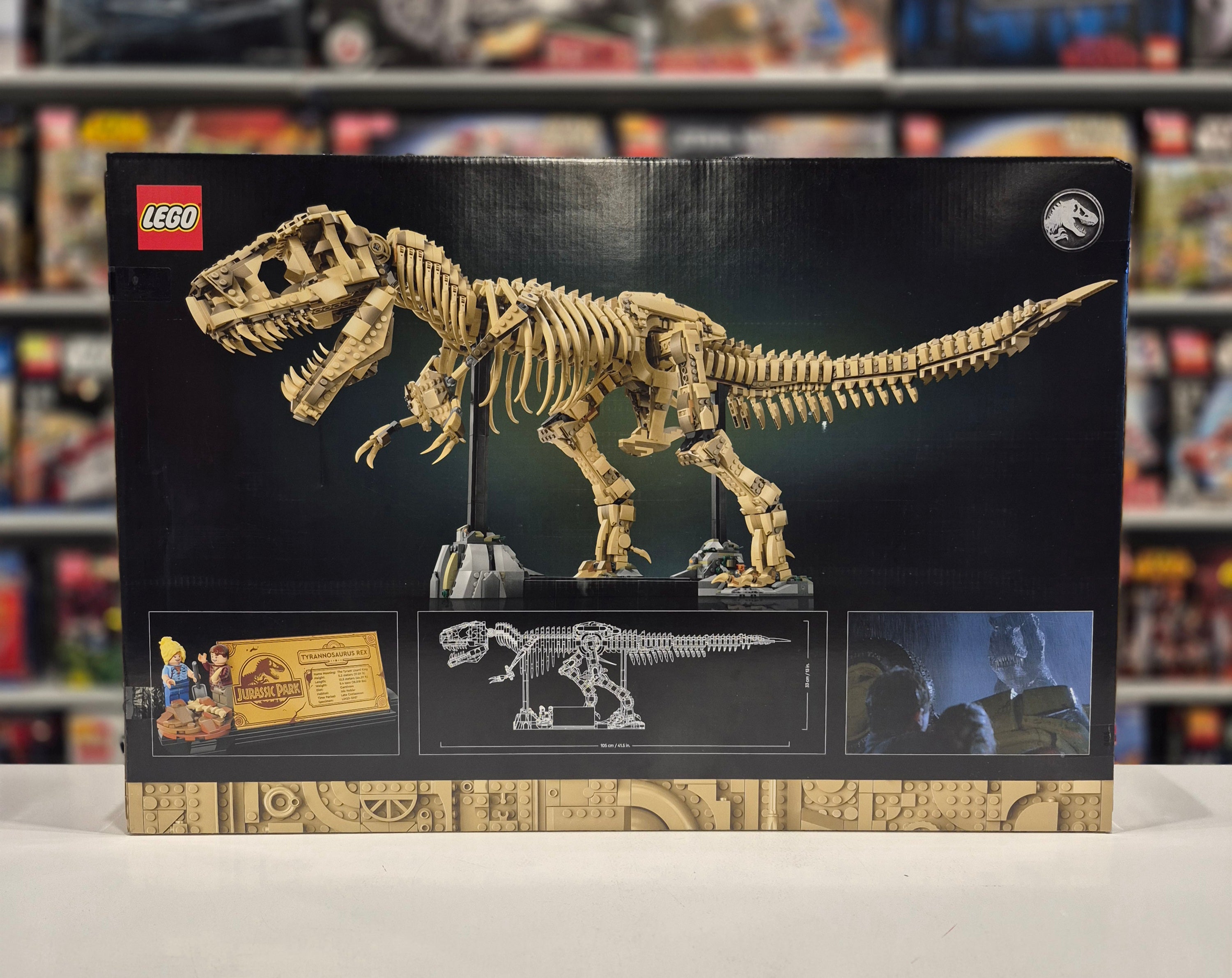 Dinosaur Fossils: Tyrannosaurus Rex, 76968