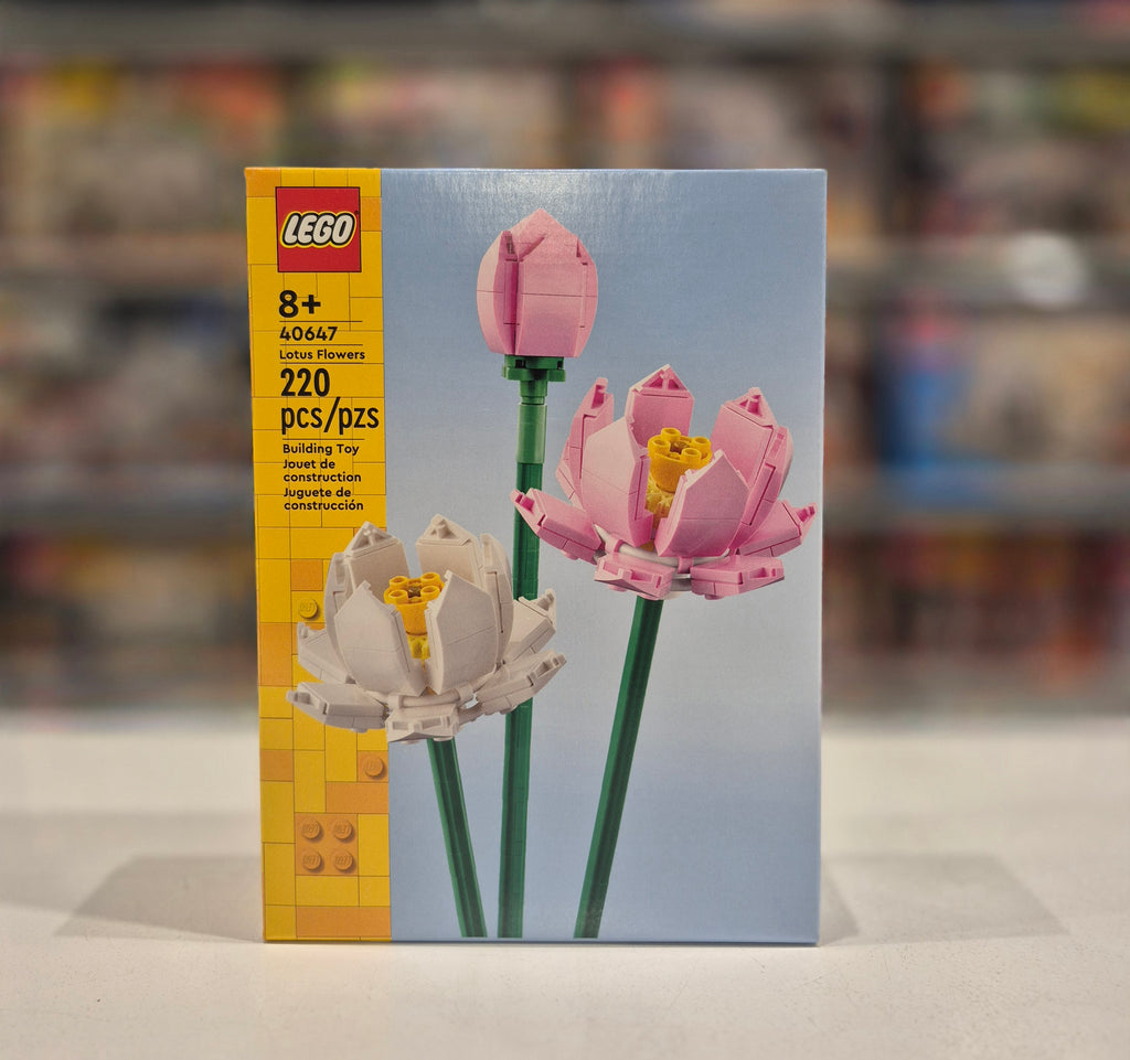Lotus Flowers, 40647