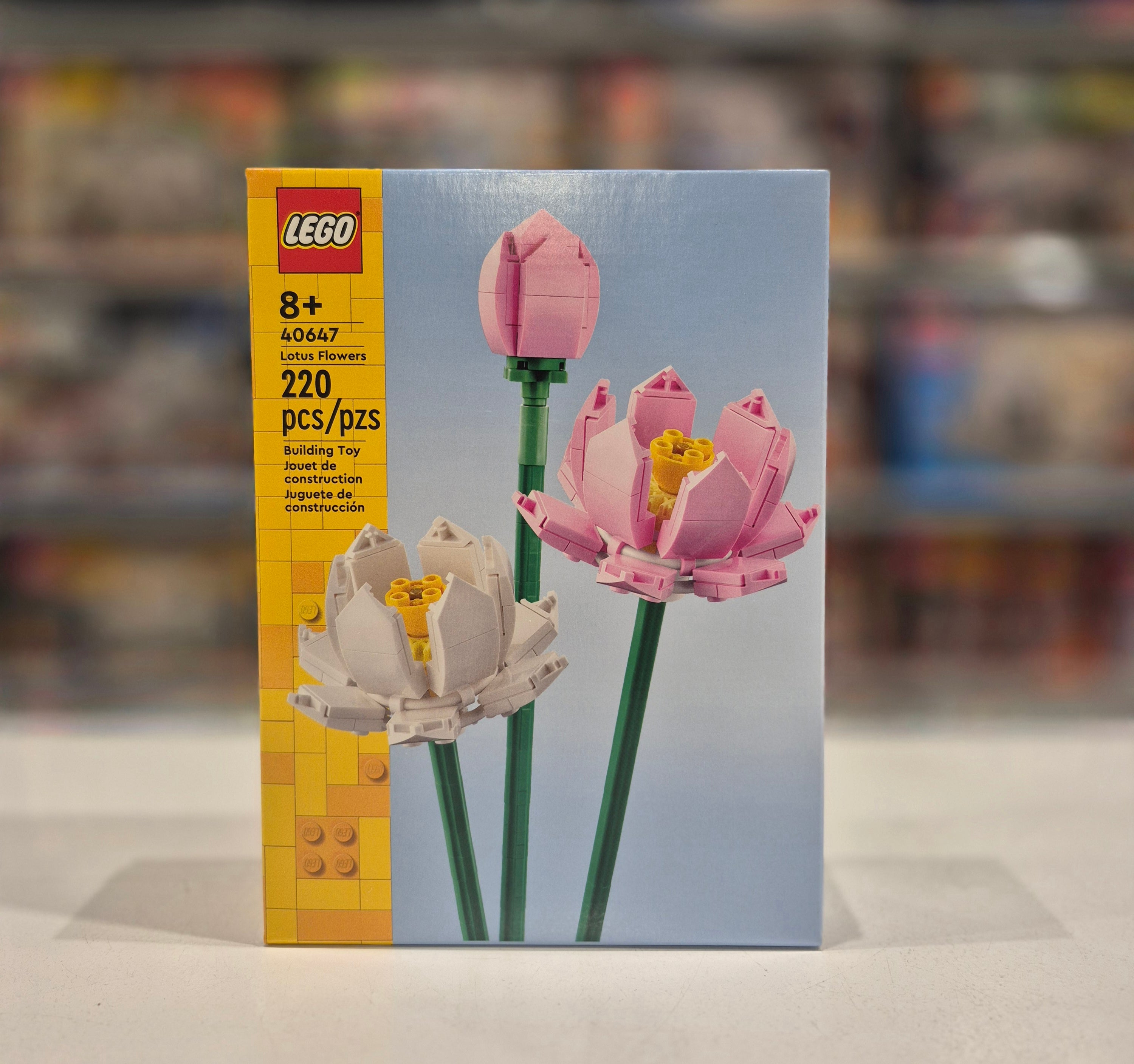 Lotus Flowers, 40647