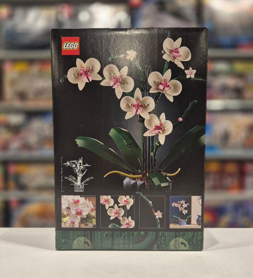 Orchid, 10311