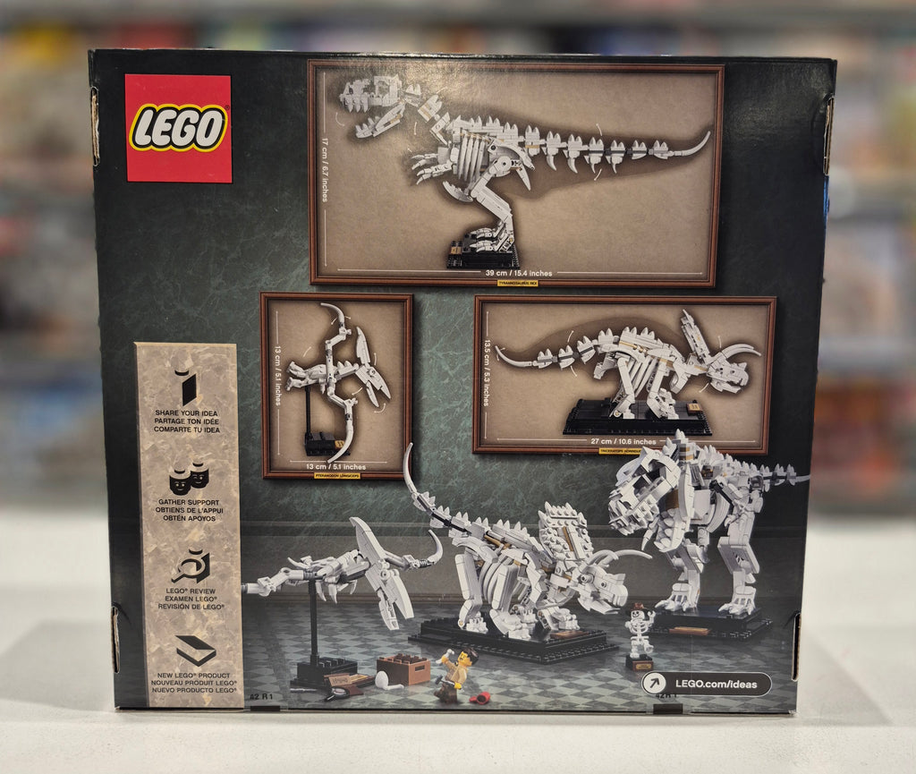 Dinosaur Fossils, 21320