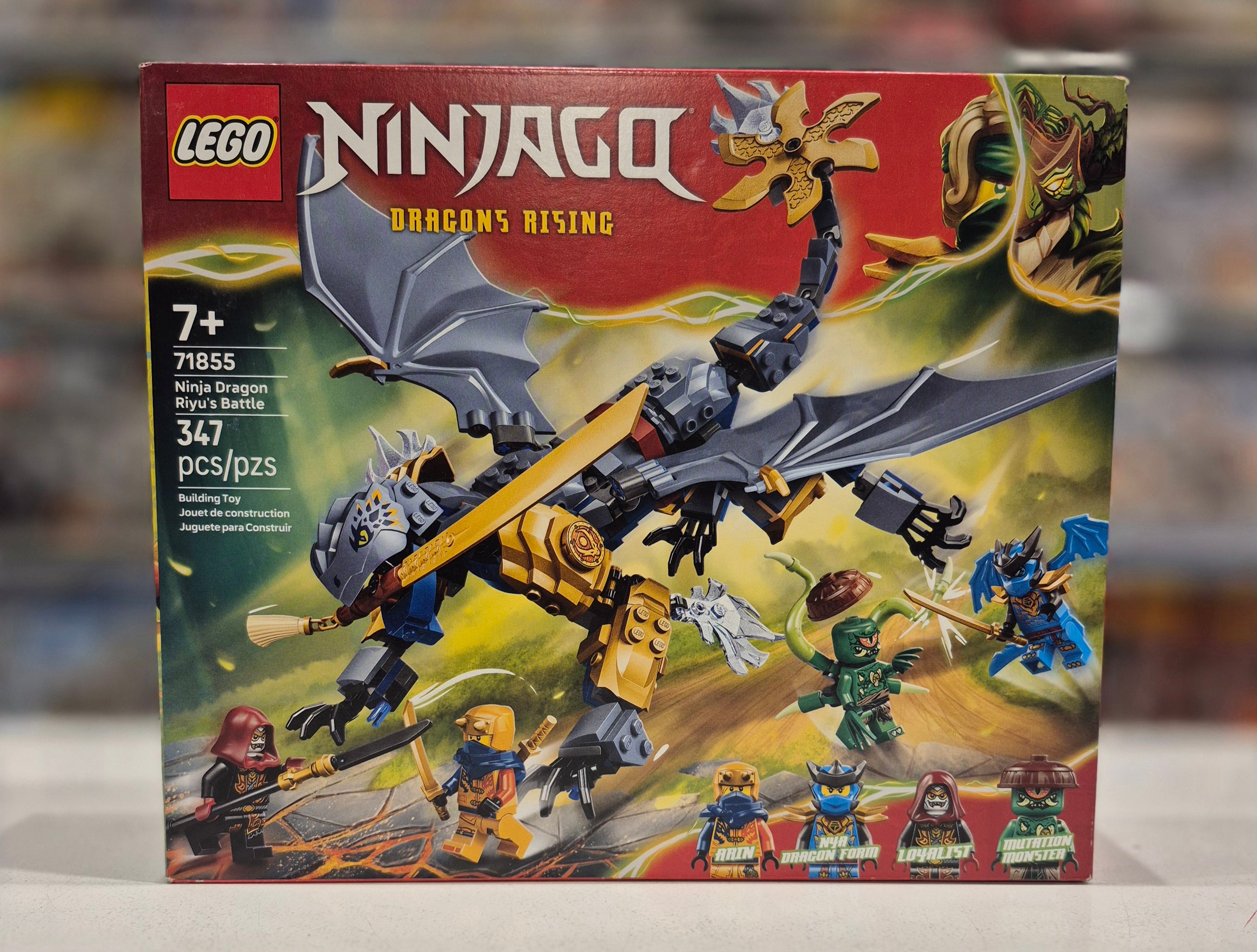 Ninja Dragon Riyu's Battle, 71855