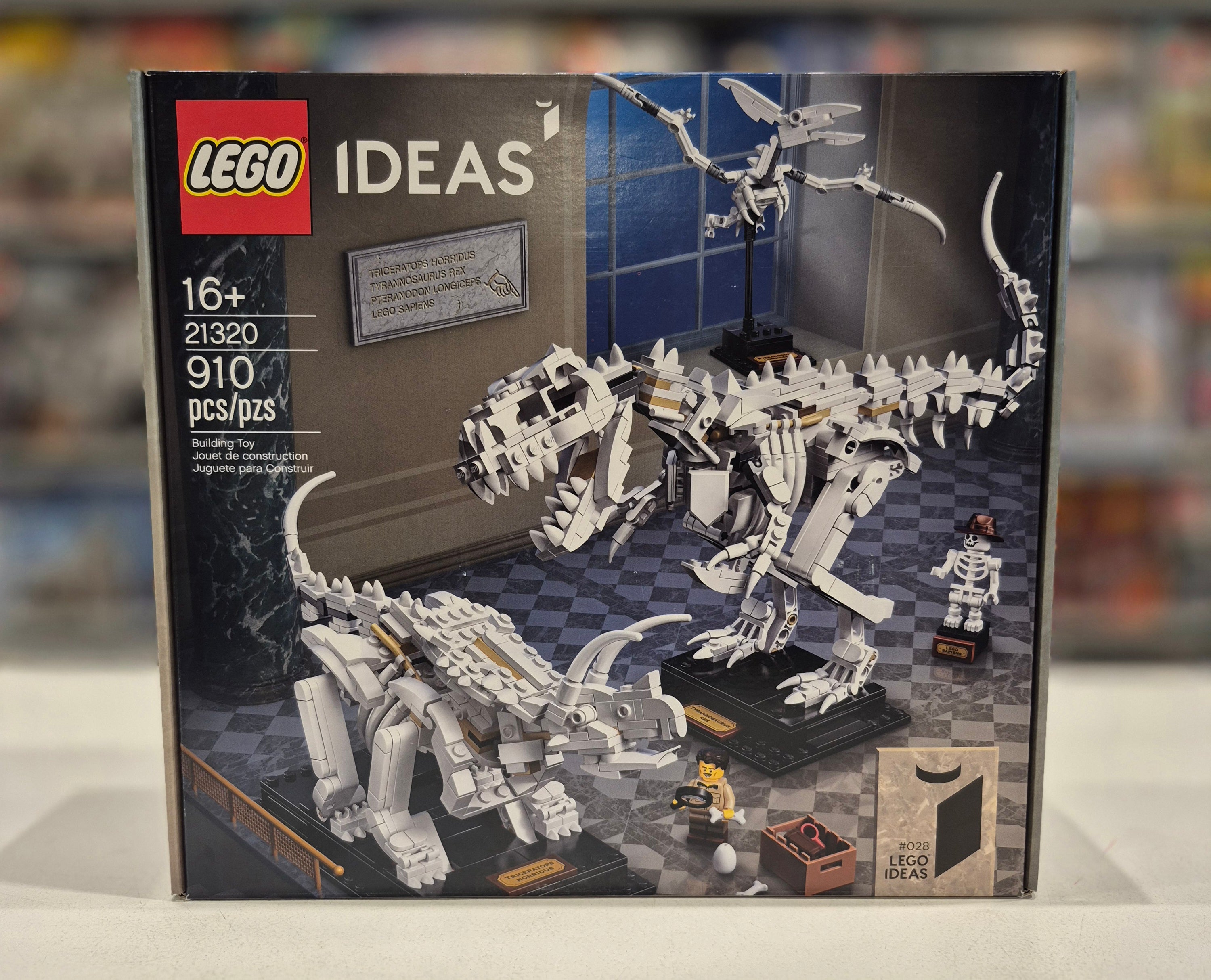Dinosaur Fossils, 21320
