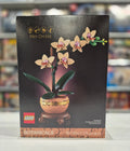 Mini Orchid, 10343