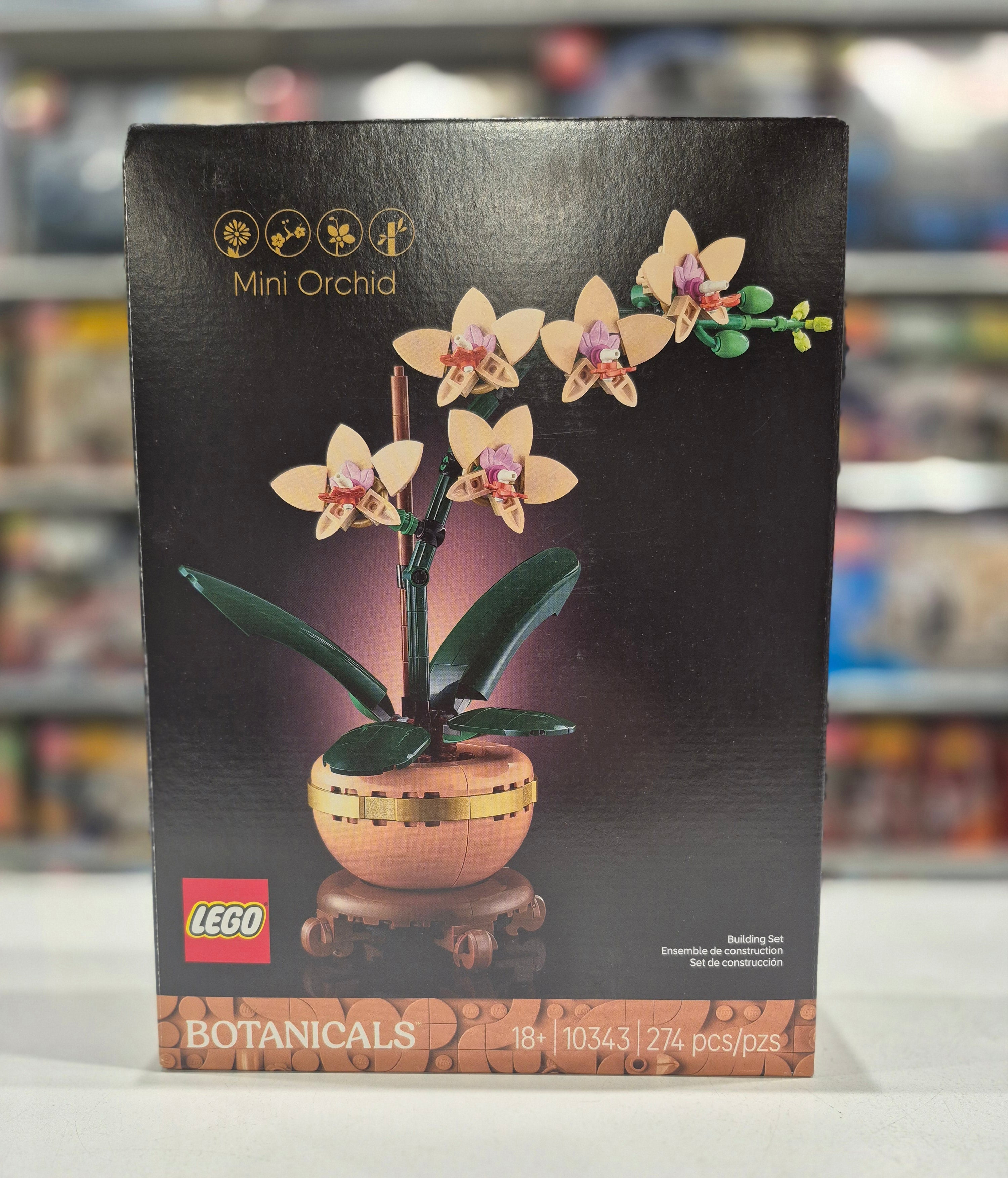 Mini Orchid, 10343