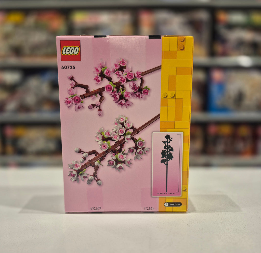 Cherry Blossoms, 40725