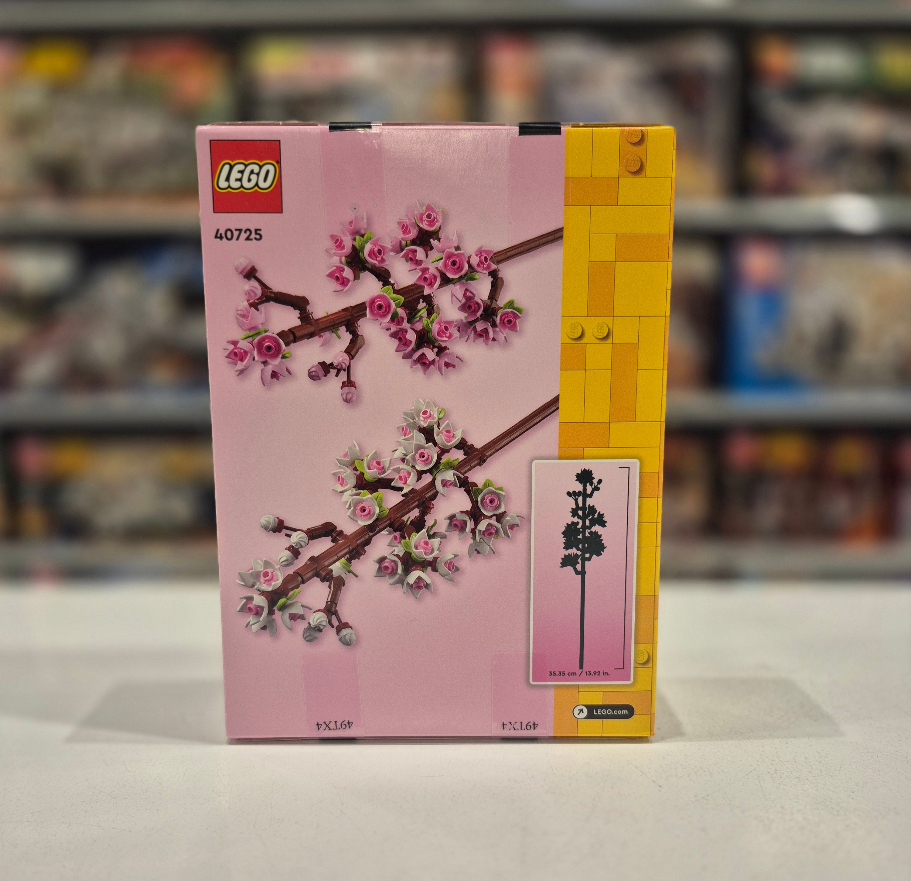 Cherry Blossoms, 40725