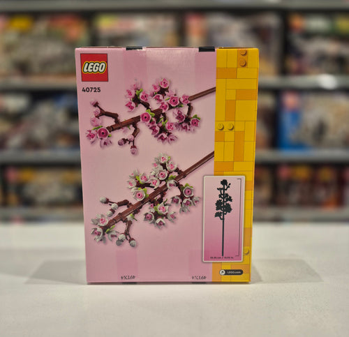 Cherry Blossoms, 40725
