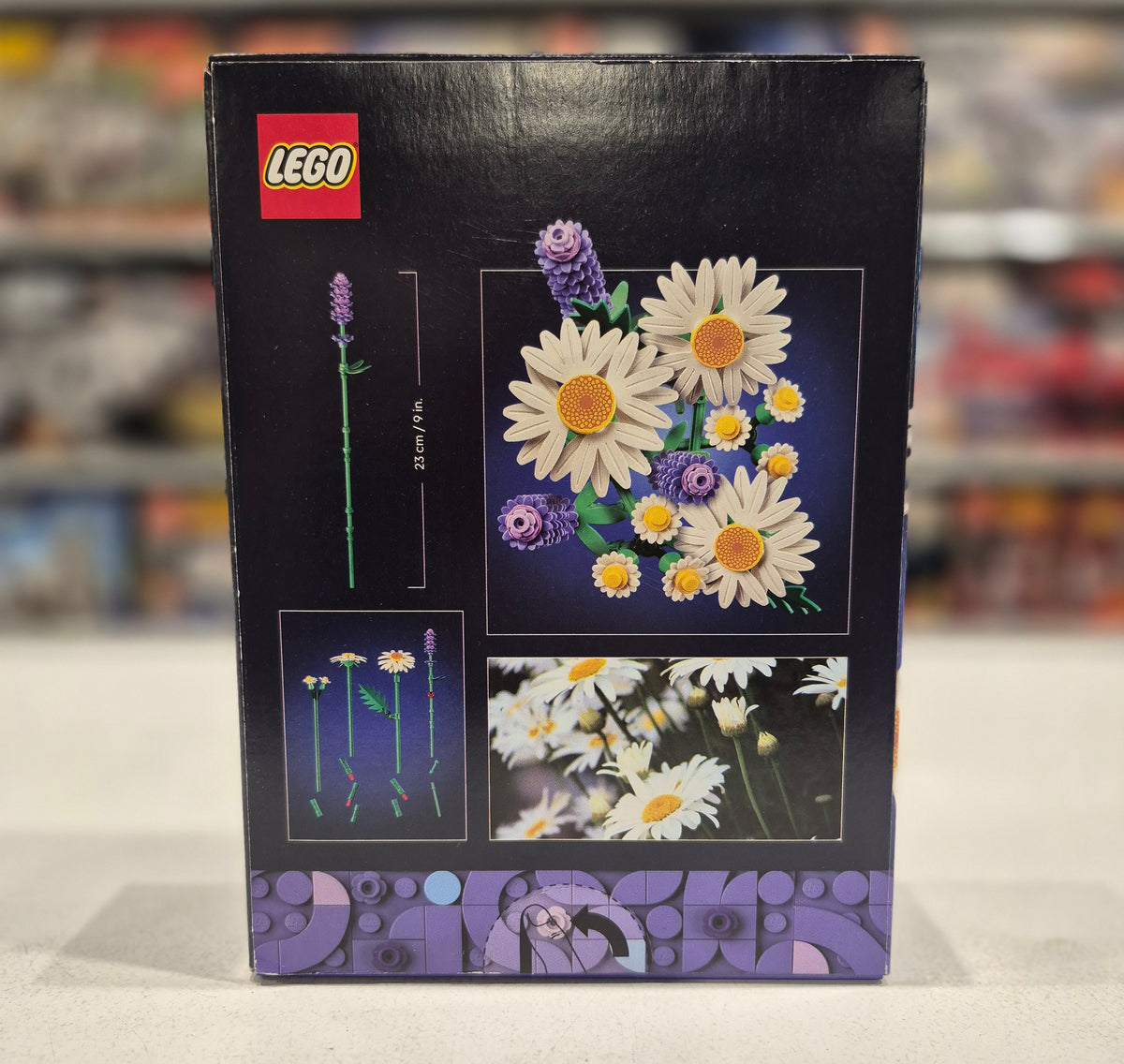 Daisies, 11508