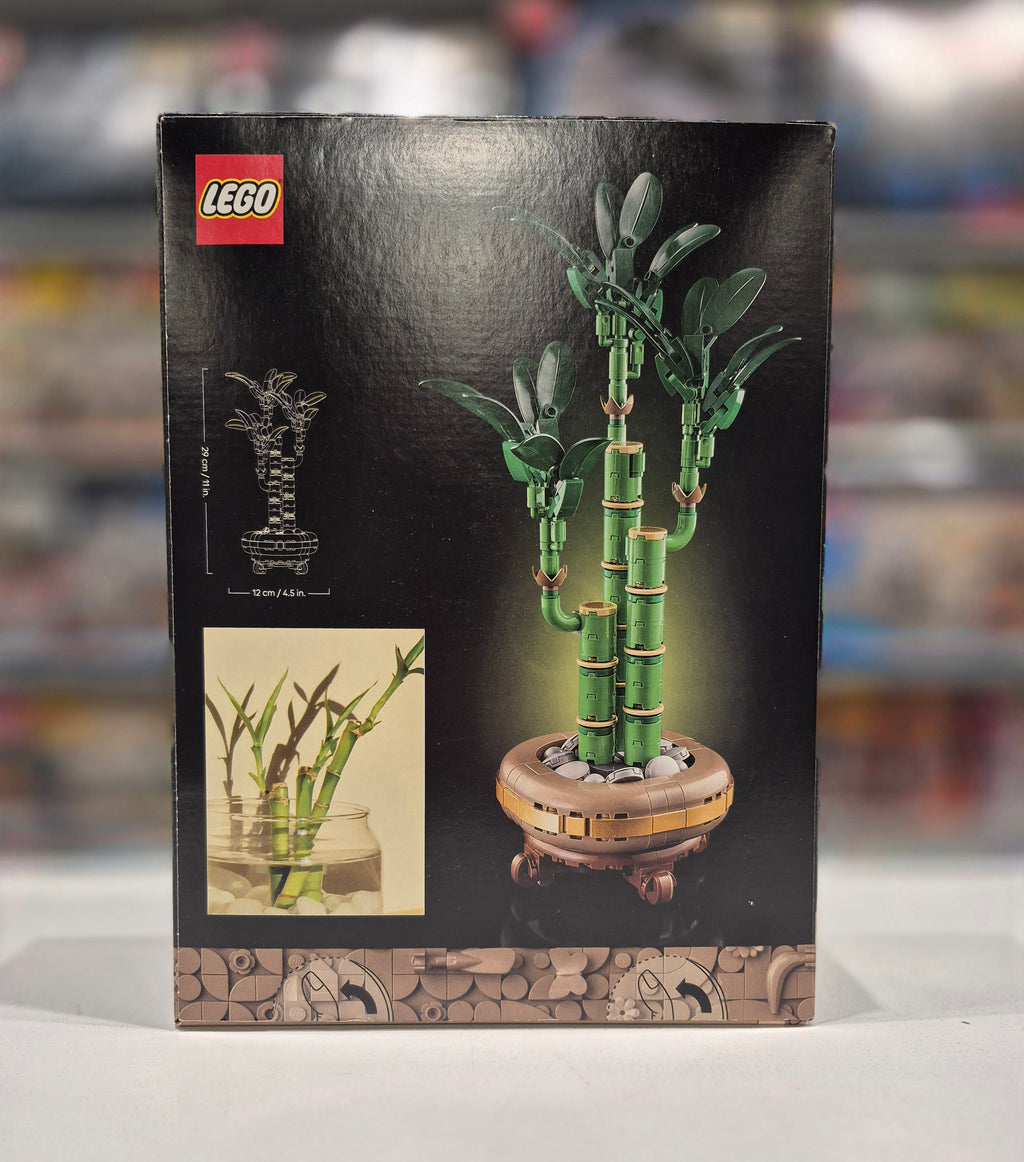 Lucky Bamboo, 10344