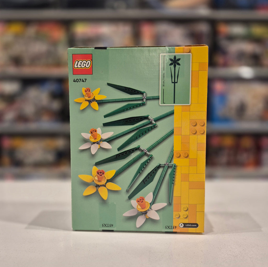 Daffodils, 40747