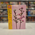 Cherry Blossoms, 40725