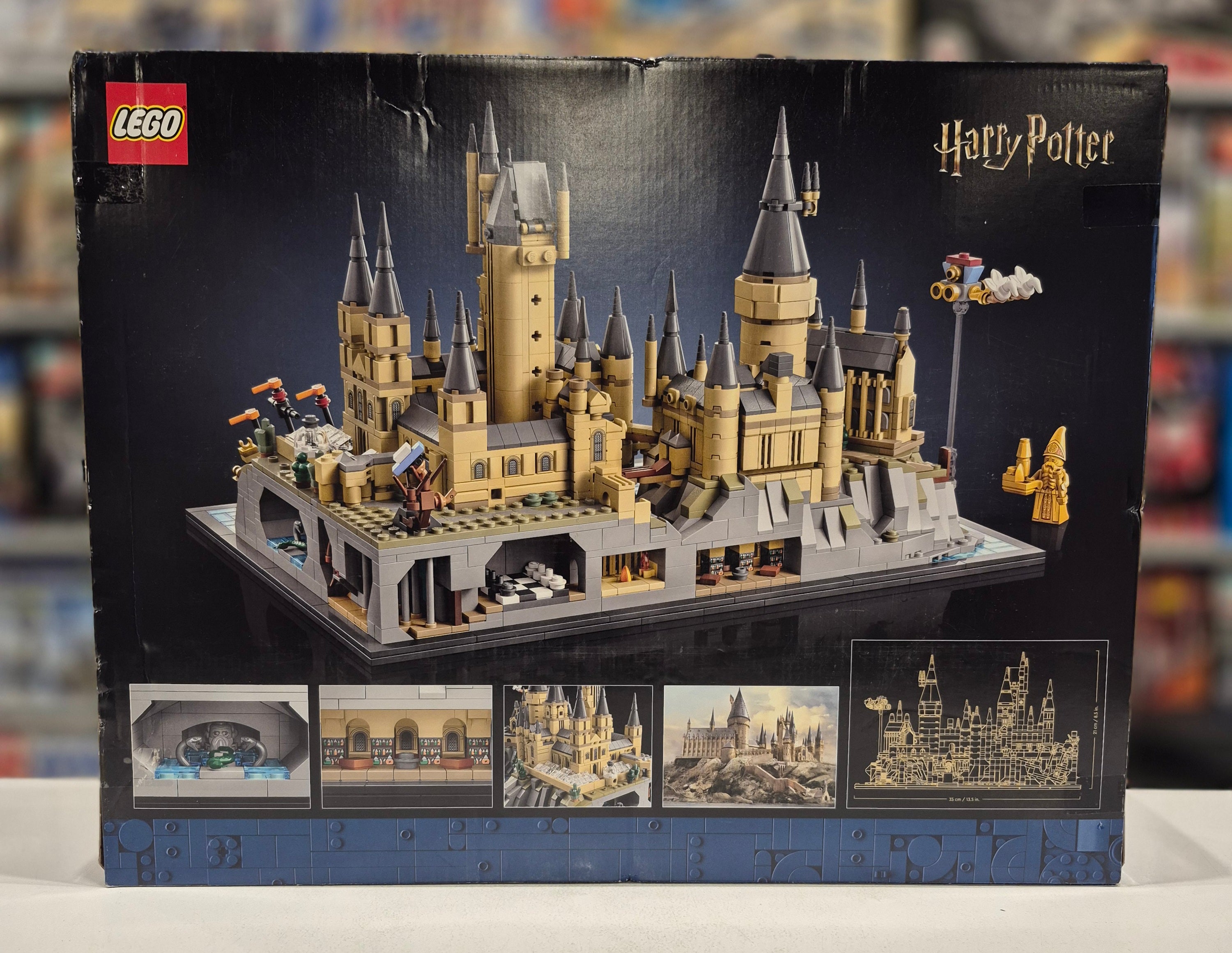 Hogwarts Castle and Grounds, 76419