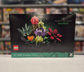 Succulents, 10309